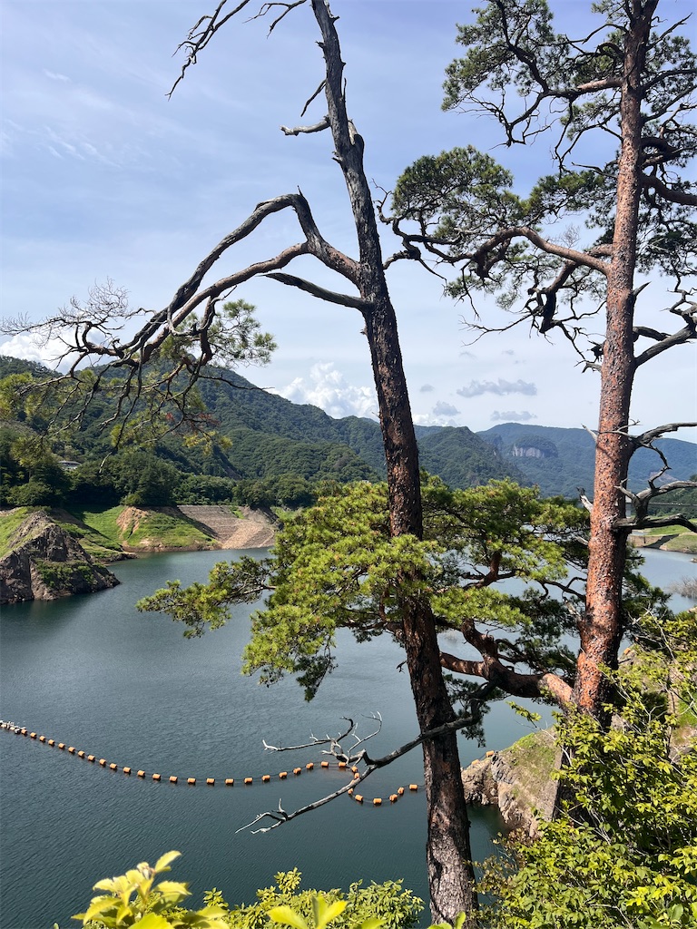 f:id:toki-tsubone:20260809181820j:image f:id:toki-tsubone:20260809181820j:image