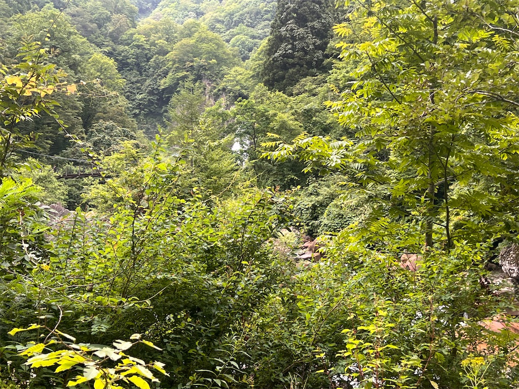f:id:toki-tsubone:20260812104014j:image f:id:toki-tsubone:20260812104014j:image