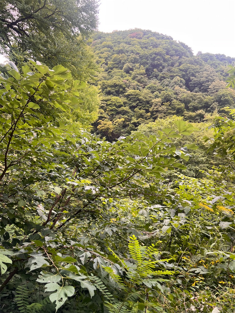f:id:toki-tsubone:20260812104030j:image f:id:toki-tsubone:20260812104030j:image