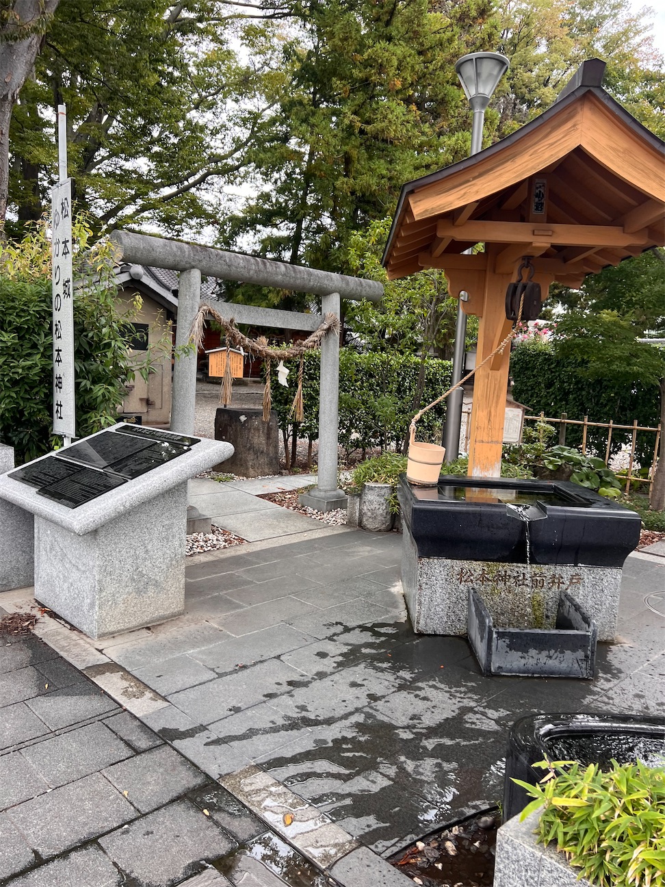 f:id:toki-tsubone:20260920171117j:image f:id:toki-tsubone:20260920171117j:image