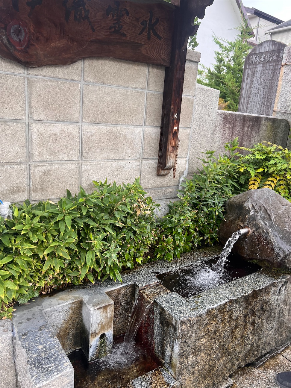 f:id:toki-tsubone:20260923222811j:image f:id:toki-tsubone:20260923222811j:image