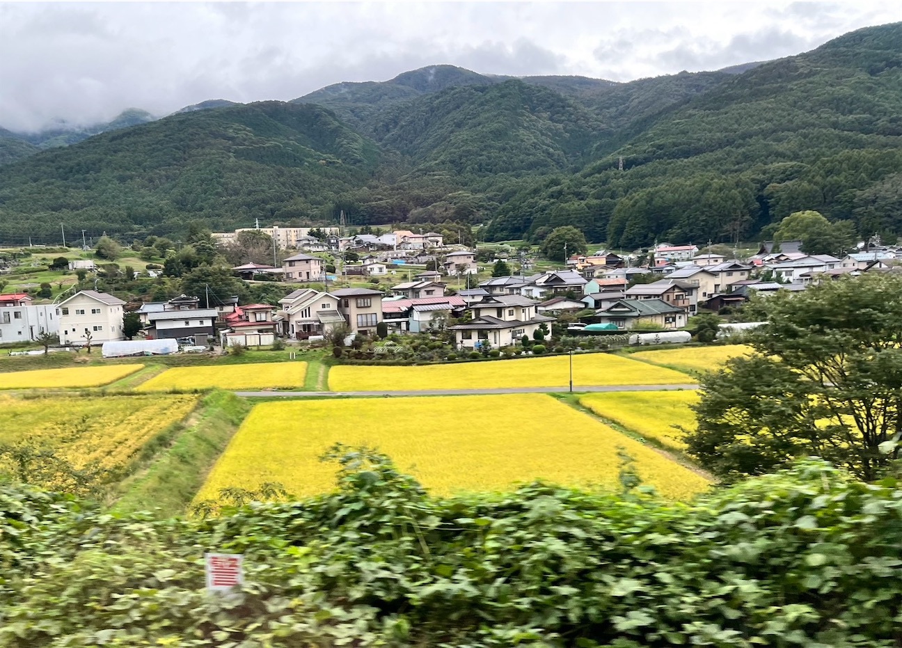 f:id:toki-tsubone:20260928181506j:image f:id:toki-tsubone:20260928181506j:image