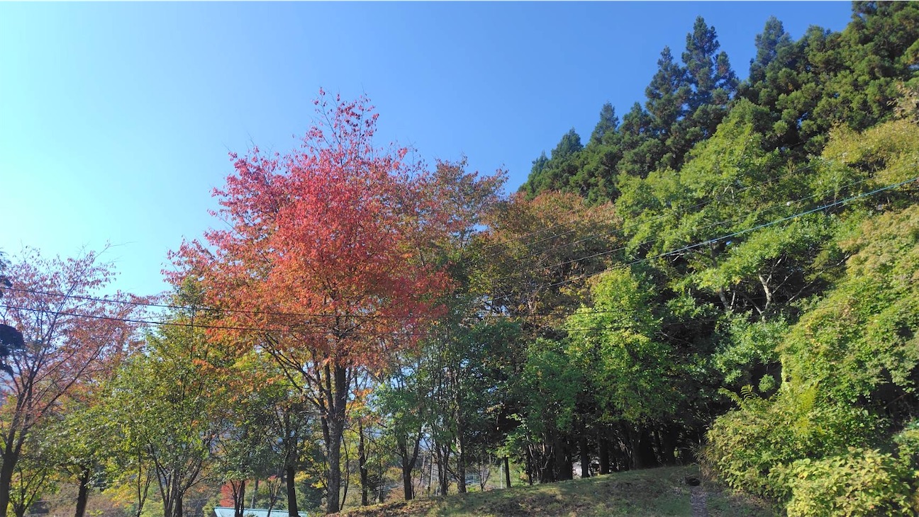 f:id:toki-tsubone:20261011230509j:image f:id:toki-tsubone:20261011230509j:image