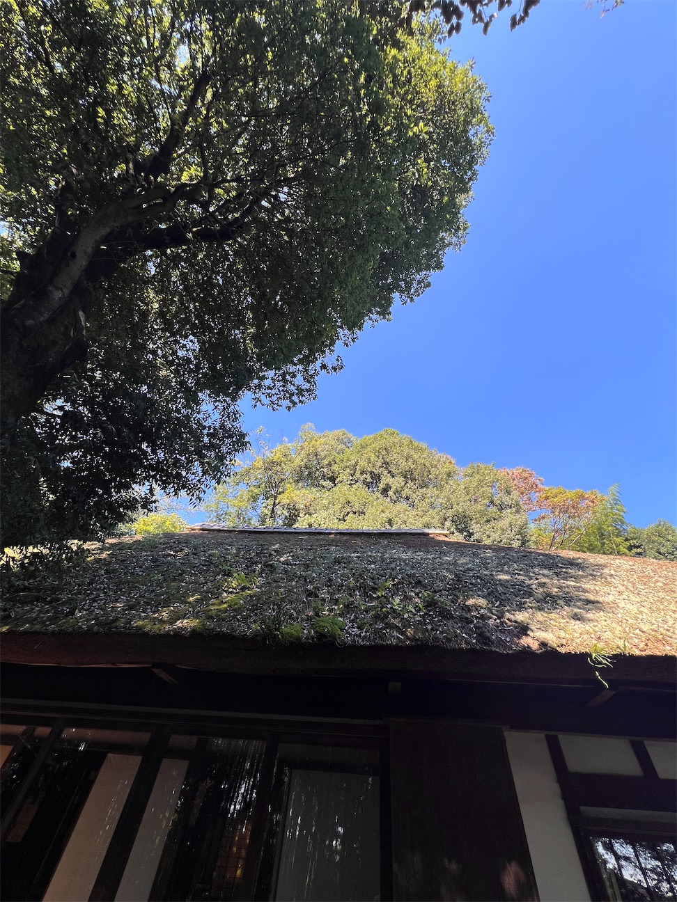f:id:toki-tsubone:20261016222301j:image