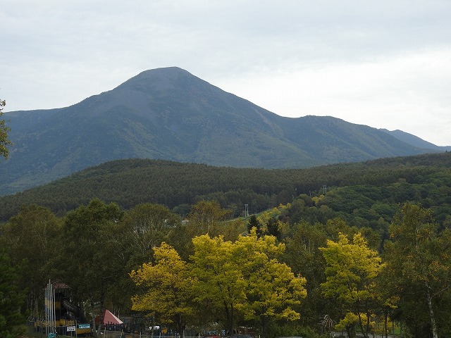 f:id:toki1436:20201004055428j:plain
