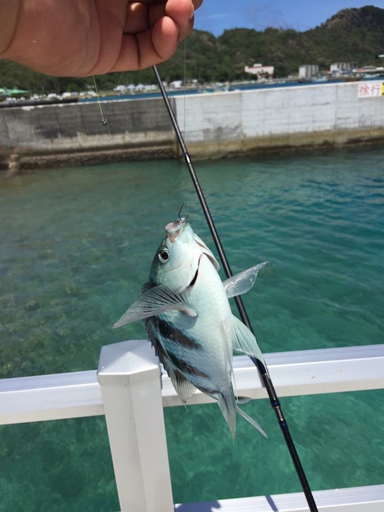 島旅 はじまりの大地 小笠原諸島父島 3 終 それでも旅へ行く 島旅 はじまりの大地 小笠原諸島父島 3 終 それでも旅へ行く