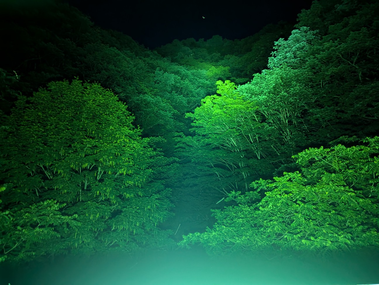 f:id:tokiasotus:20260310143107j:image