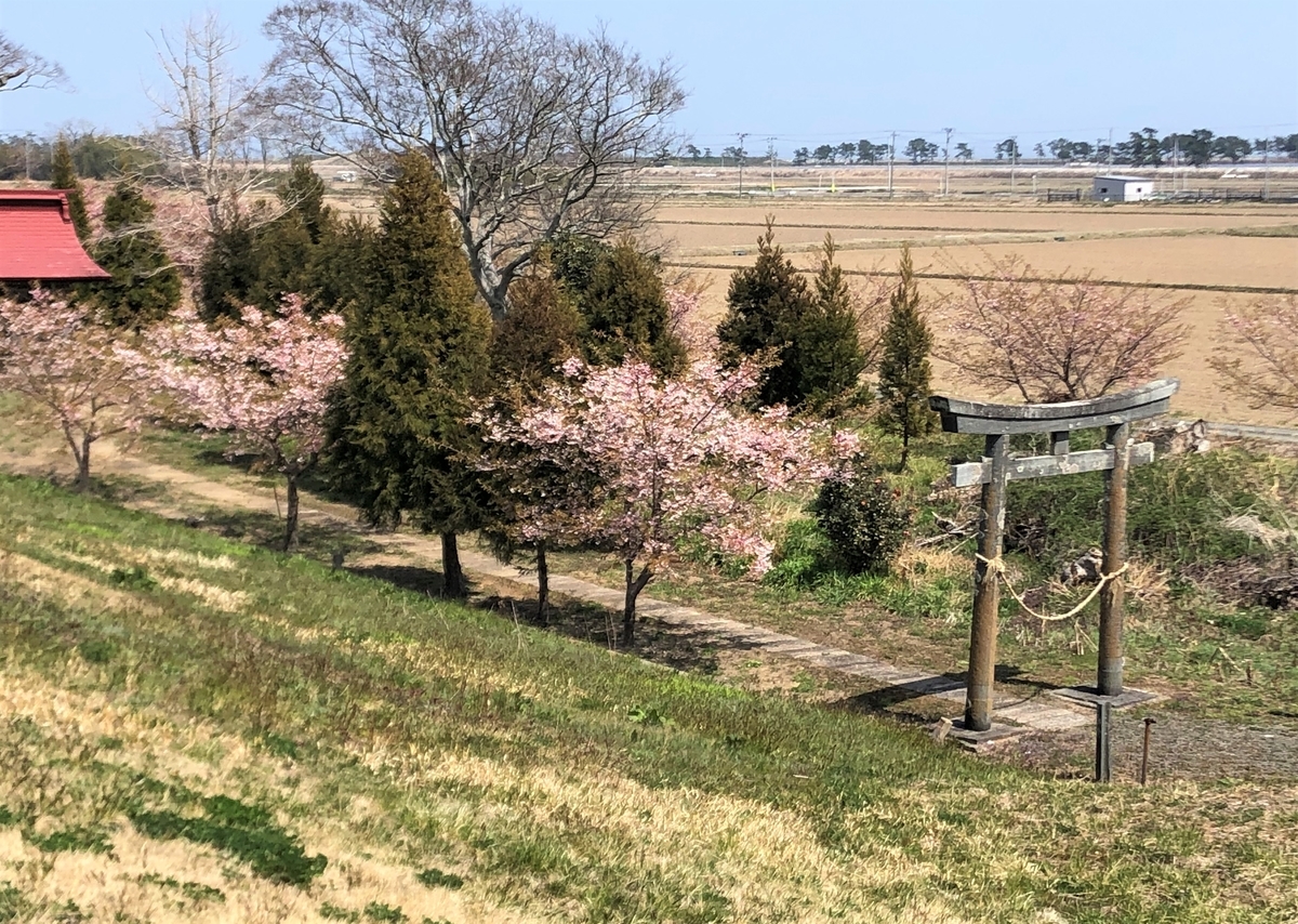 f:id:tokidokibike:20220413002523j:plain