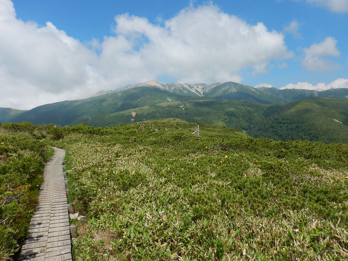 f:id:tokidokiyamanobori:20190804120047j:plain f:id:tokidokiyamanobori:20190804120047j:plain