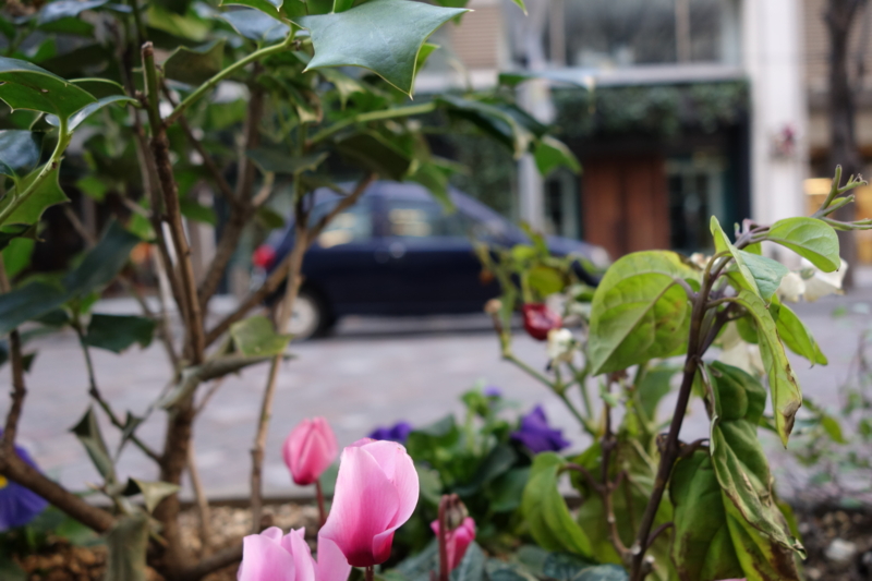 マツダ オートザム キャロル (AA6PA) キャロル AAP6A オートザム マツダ