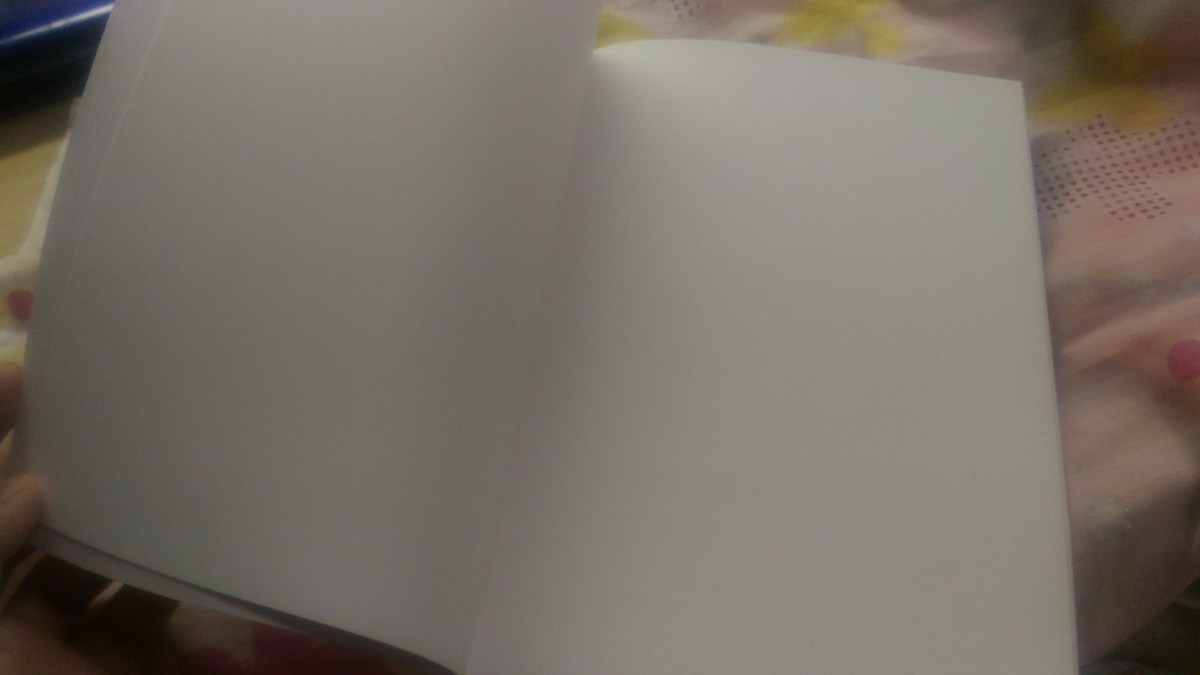 f:id:tokiha_blog:20190811210333j:plain