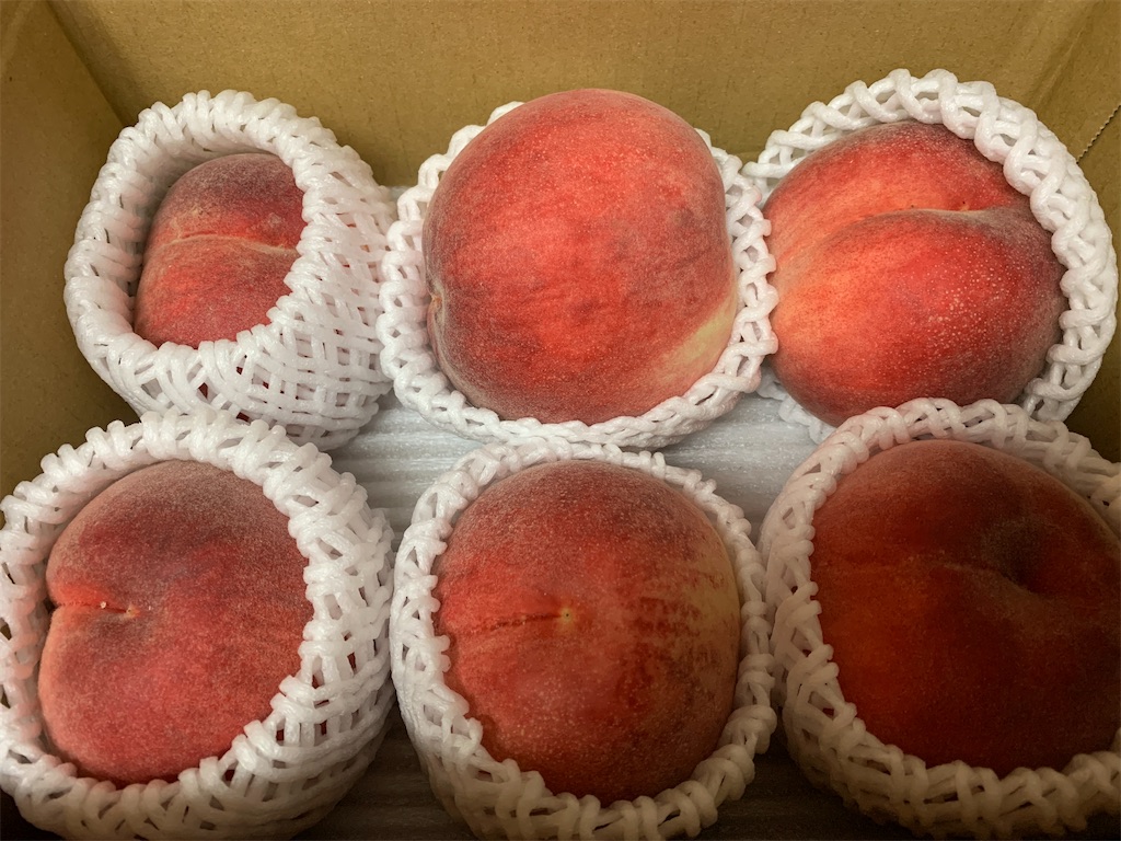 f:id:tokikomama:20210731203111j:image