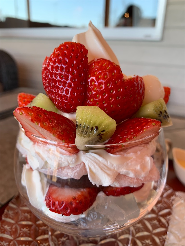 f:id:tokikomama:20240106223429j:image