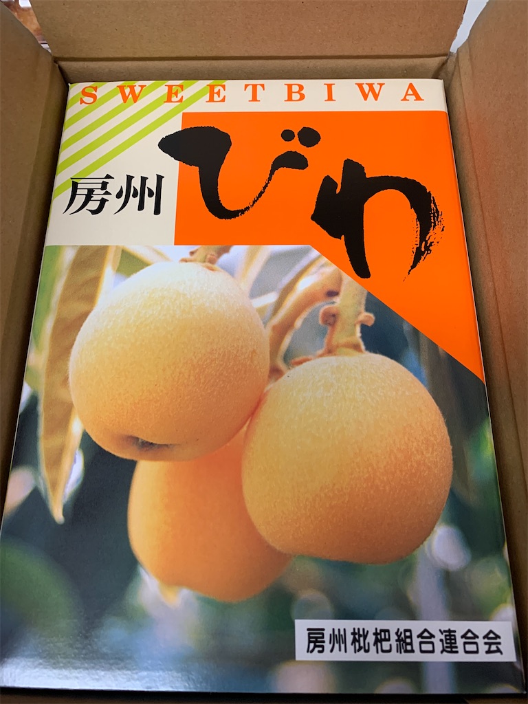 f:id:tokikomama:20240613132503j:image