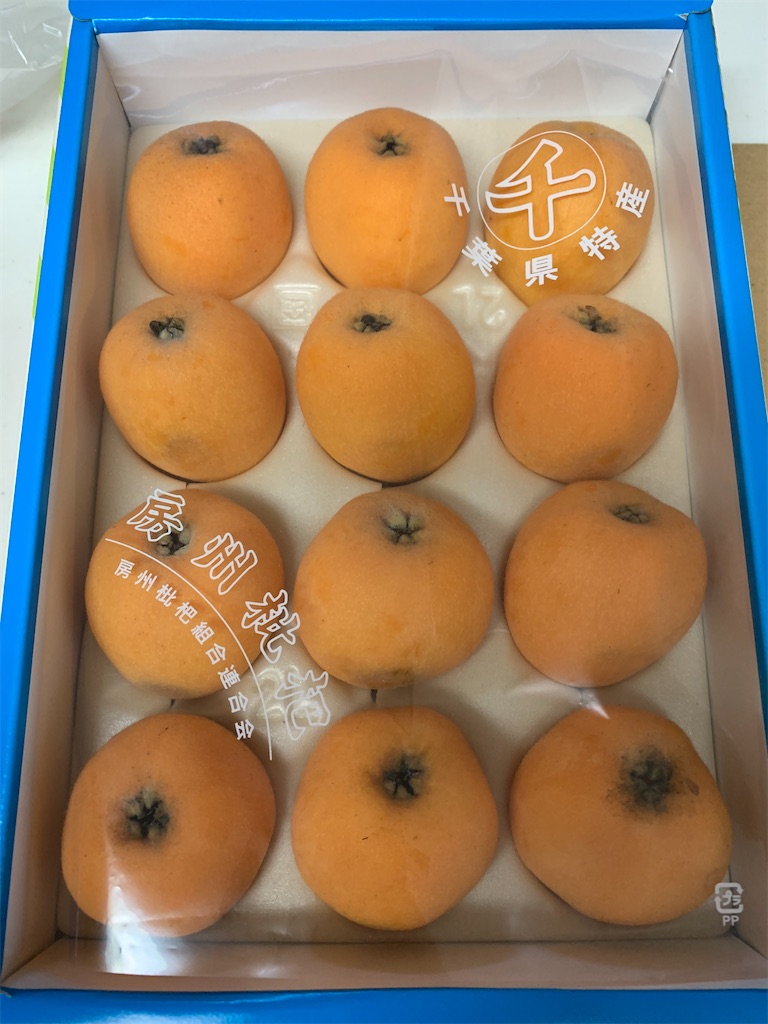f:id:tokikomama:20240613132506j:image