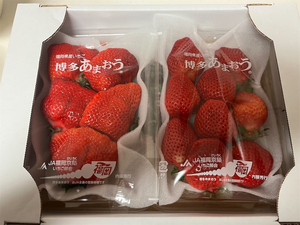 f:id:tokikomama:20250306102547j:image