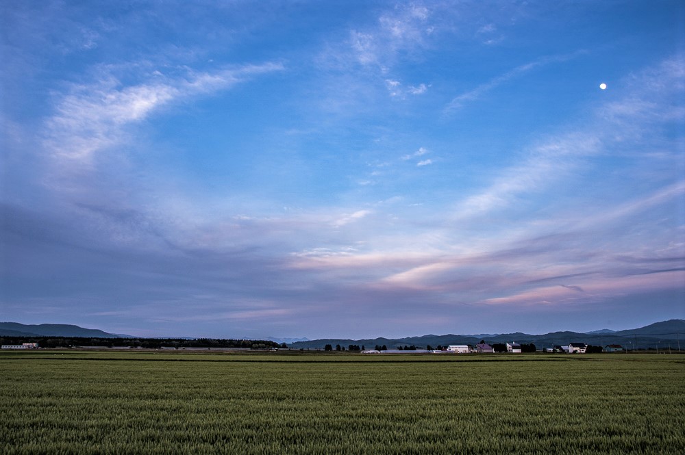 f:id:tokinokane1010:20190708182401j:plain f:id:tokinokane1010:20190708182401j:plain