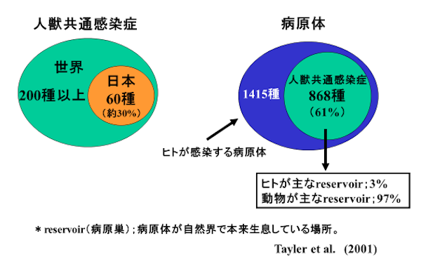 f:id:tokinokaseki:20201103195344p:plain