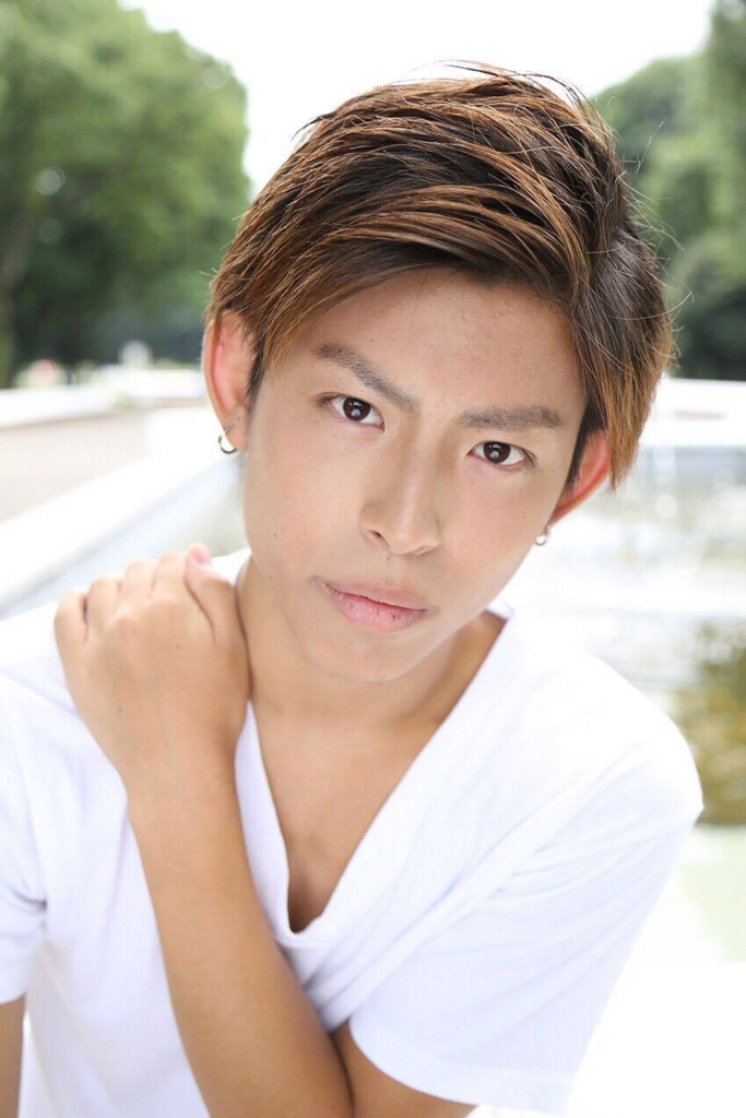 f:id:tokio-hashimoto:20161209150755j:plain