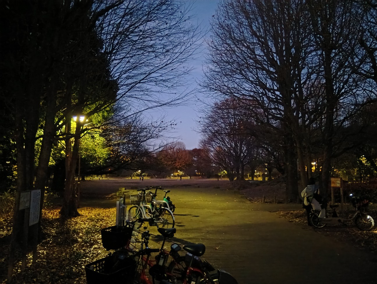 f:id:tokitike:20251208234504j:image