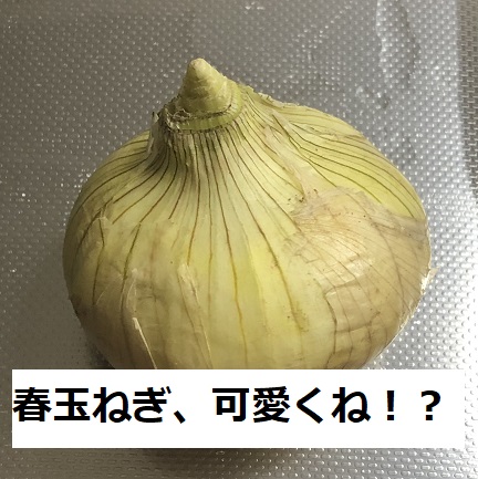 f:id:tokituku:20200215145616j:plain f:id:tokituku:20200215145616j:plain