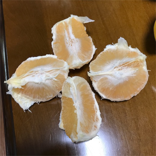f:id:tokiwa-heizo:20170427205330j:image f:id:tokiwa-heizo:20170427205330j:image