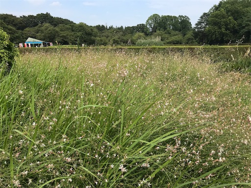 f:id:tokiwa-heizo:20180723002946j:image f:id:tokiwa-heizo:20180723002946j:image