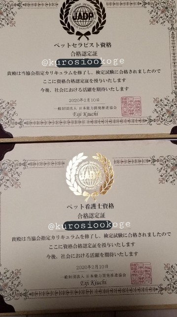 f:id:tokixshiro:20200213222212j:plain