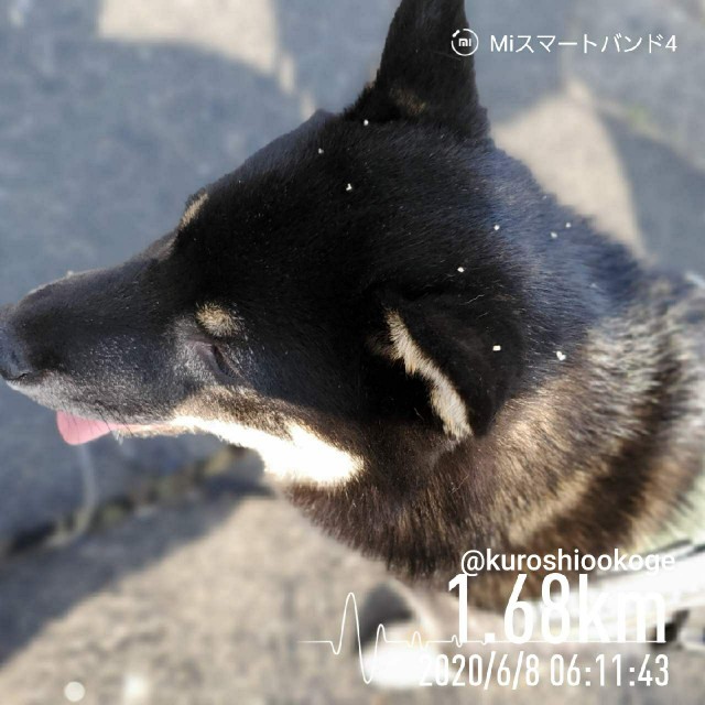 f:id:tokixshiro:20200610102446j:plain