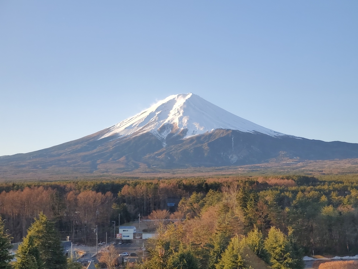 f:id:tokizo0304:20200120182529j:plain f:id:tokizo0304:20200120182529j:plain