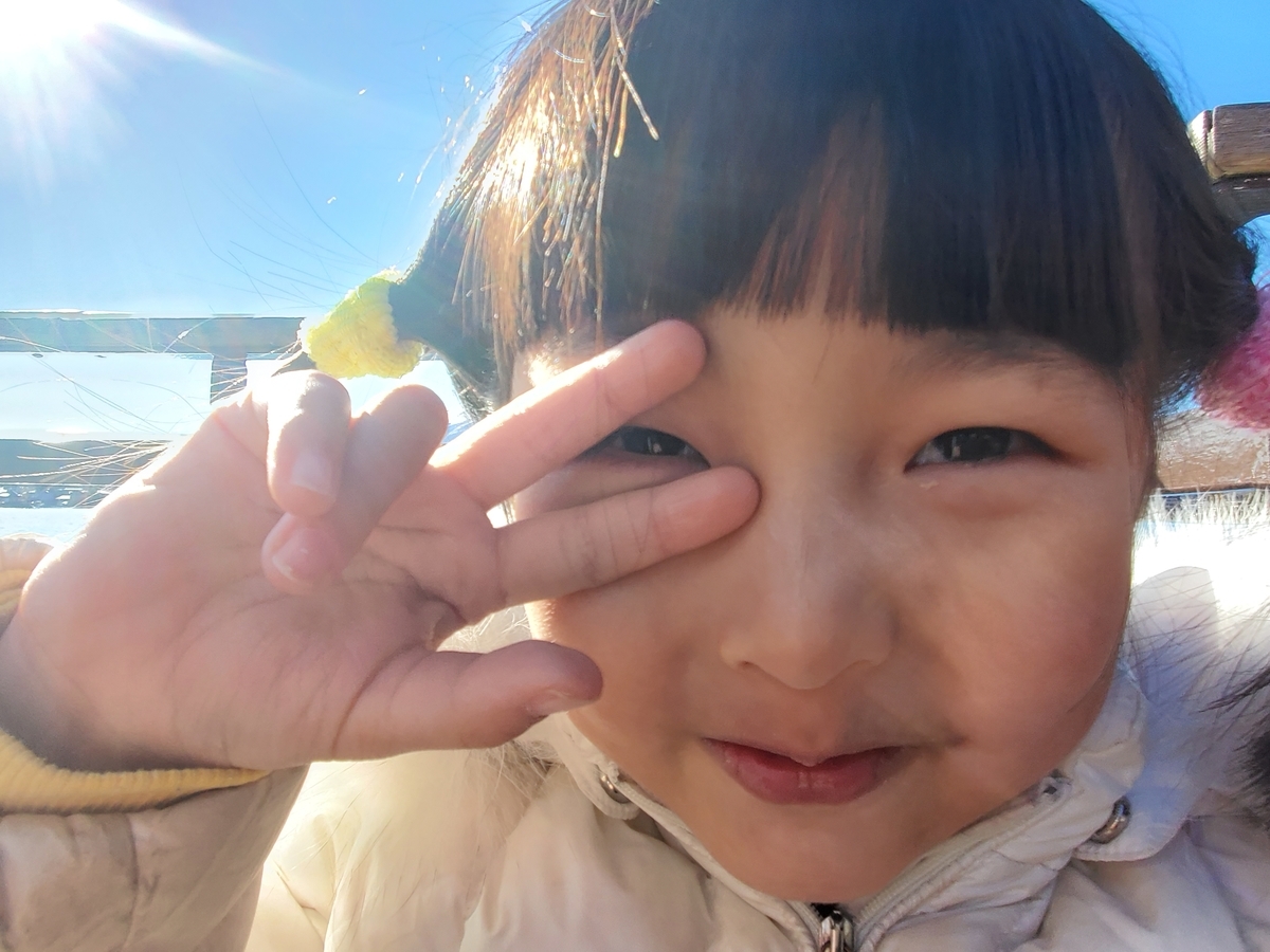 f:id:tokizo0304:20200120184046j:plain f:id:tokizo0304:20200120184046j:plain