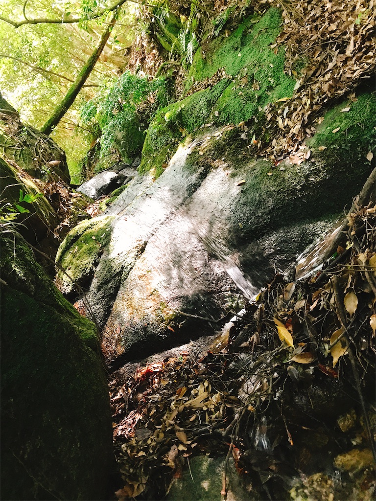 f:id:tokkynablog:20180613120621j:image f:id:tokkynablog:20180613120621j:image