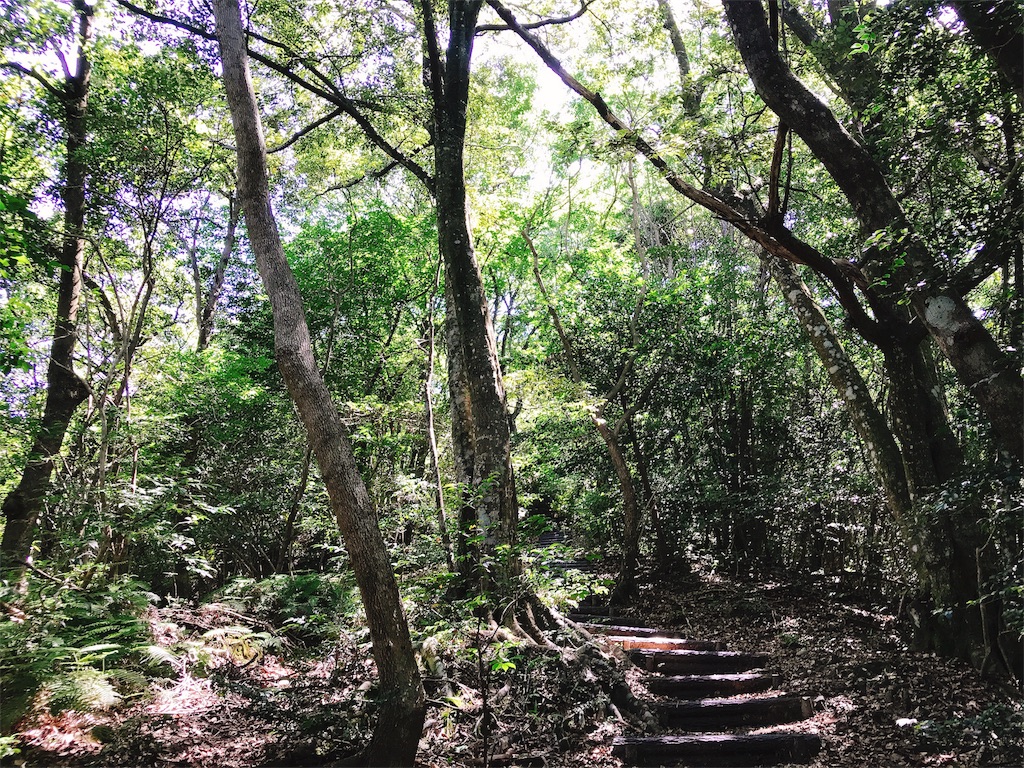 f:id:tokkynablog:20180613120719j:image f:id:tokkynablog:20180613120719j:image