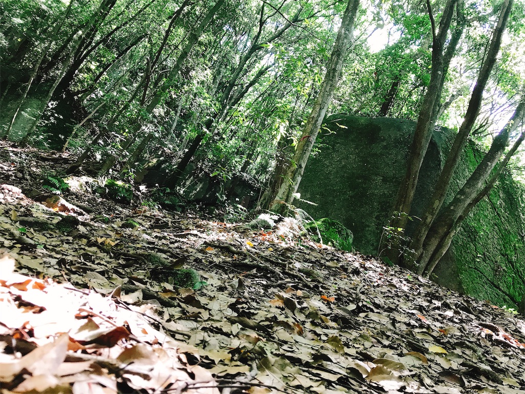 f:id:tokkynablog:20180613120750j:image f:id:tokkynablog:20180613120750j:image