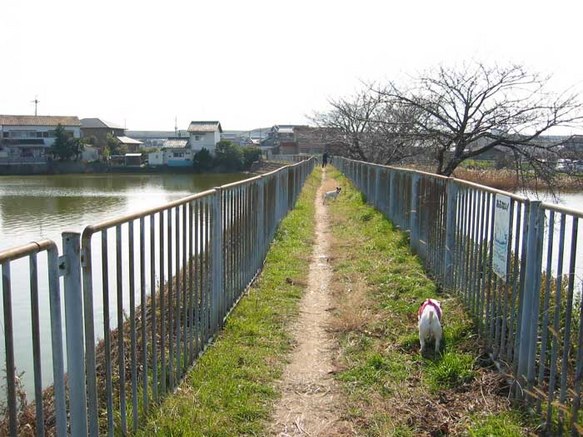 f:id:toko49:20070122001835j:image