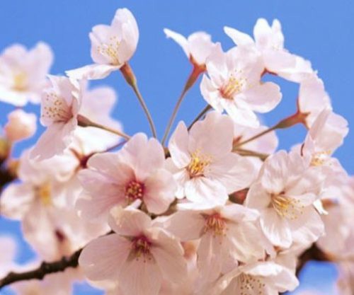 f:id:tokomaru4:20190911155655j:plain f:id:tokomaru4:20190911155655j:plain