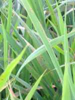 f:id:tokomata:20120709190453j:image f:id:tokomata:20120709190453j:image