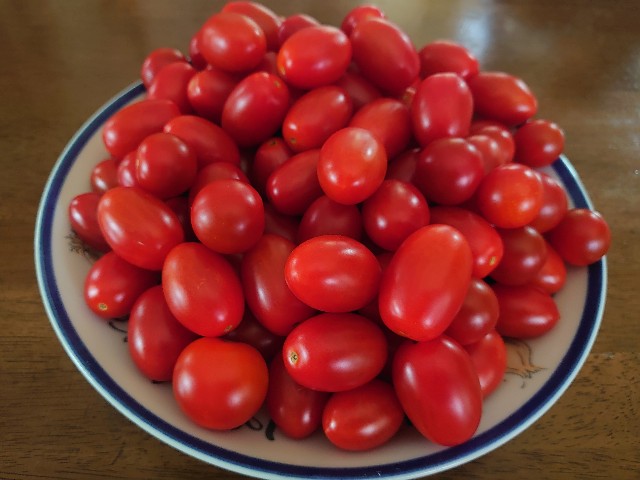 f:id:tokomi:20210810181055j:image