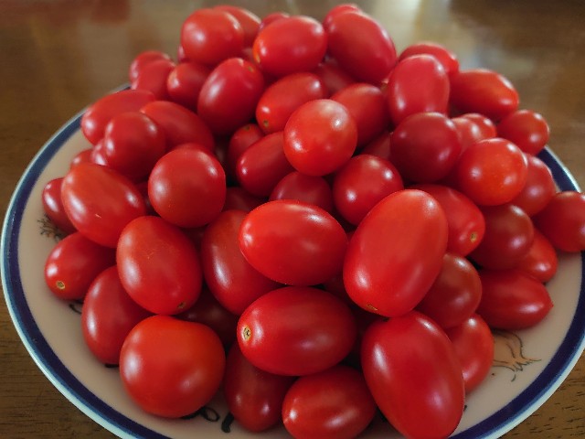 f:id:tokomi:20210810181111j:image