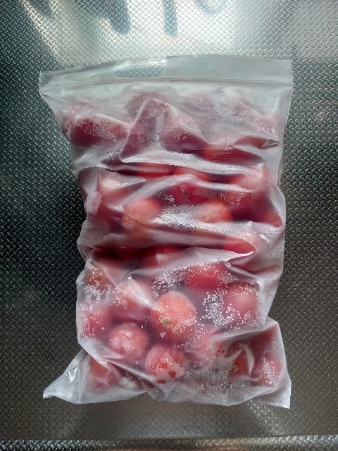 f:id:tokomi:20210810181159j:image