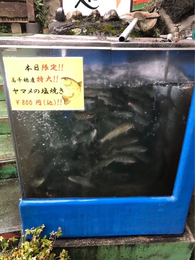 f:id:tokorotenchang:20230809195207j:image