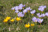 f:id:tokotoko33:20110302222437j:image