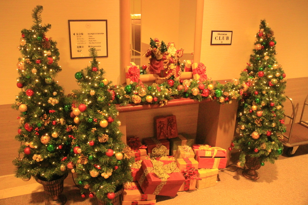 f:id:tokotoko_yuuki:20181127122004j:plain