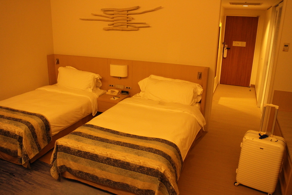 f:id:tokotoko_yuuki:20190126122604j:plain