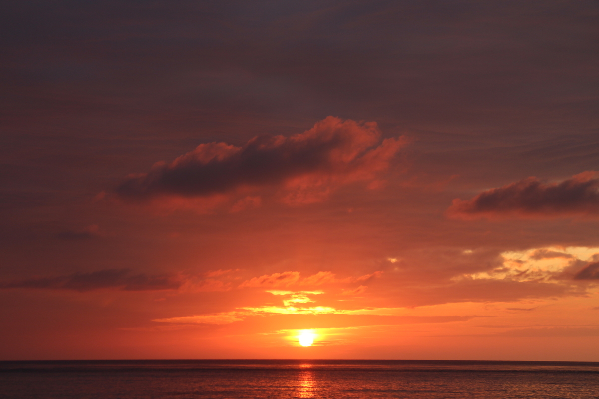 f:id:tokotoko_yuuki:20191129223547j:plain