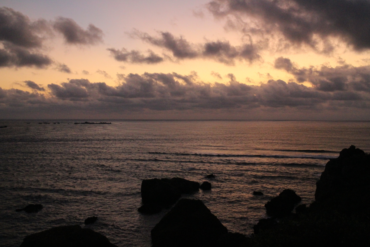 f:id:tokotoko_yuuki:20191129224131j:plain