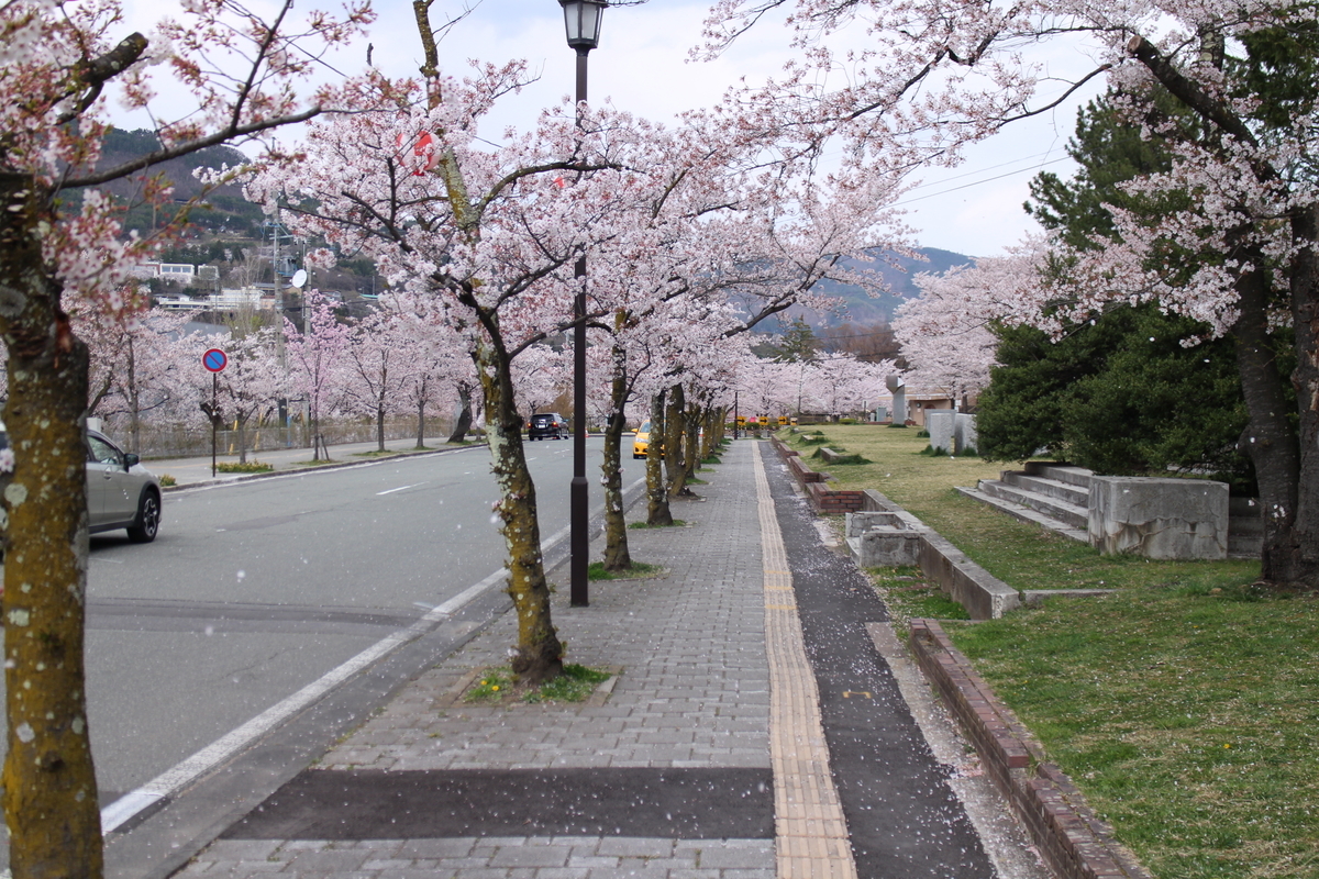 f:id:tokotoko_yuuki:20210411225632j:plain