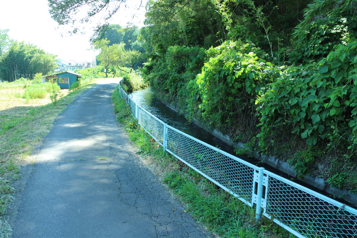 f:id:tokotoko_yuuki:20210827011817j:plain