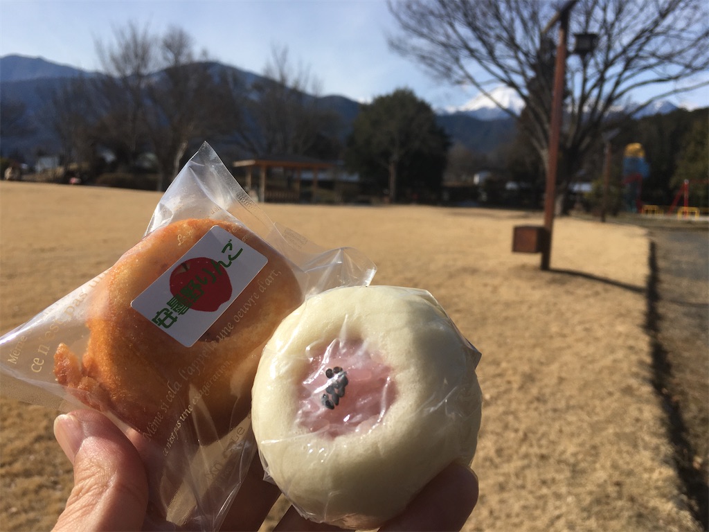 f:id:tokotoko_yuuki:20220113173413j:plain