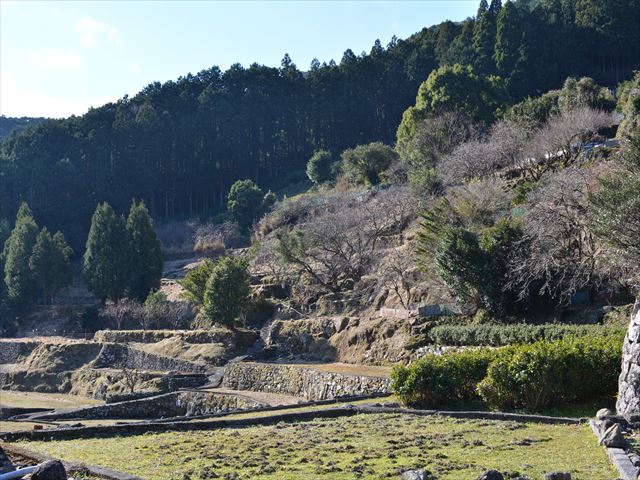 f:id:tokotokodeni:20170128110116j:plain f:id:tokotokodeni:20170128110116j:plain
